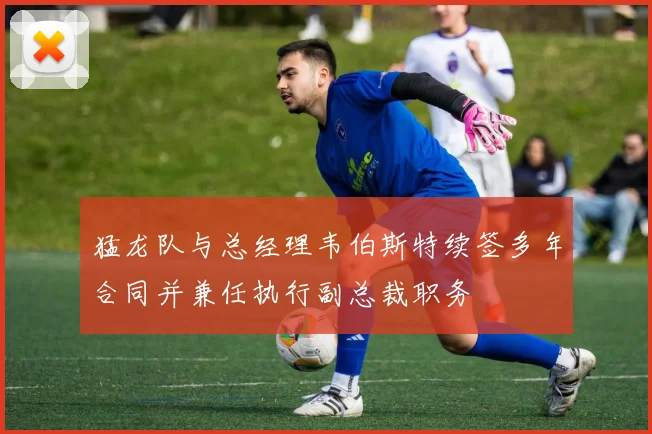 猛龙队与总经理韦伯斯特续签多年合同并兼任执行副总裁职务