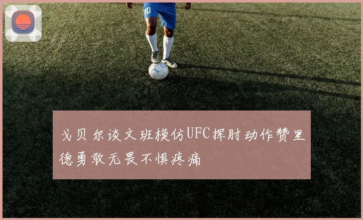 戈贝尔谈文班模仿UFC挥肘动作赞里德勇敢无畏不惧疼痛