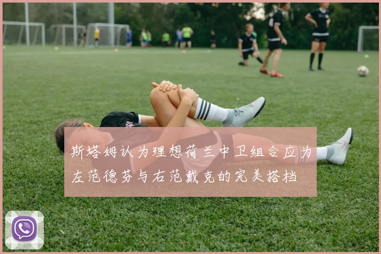斯塔姆认为理想荷兰中卫组合应为左范德芬与右范戴克的完美搭档